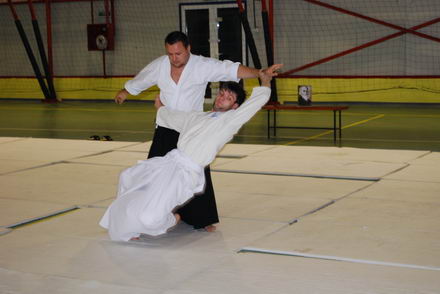 ion_state_aikido.jpg