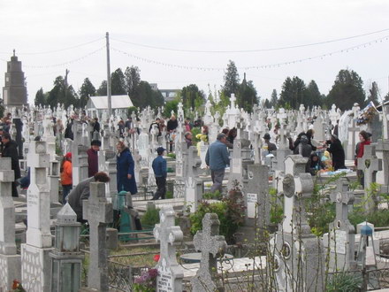 cimitirul_central9.jpg