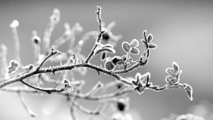 cold_winter_days_by_lomil_gathiel_49961600.jpg