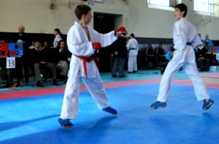 karate11.jpg_595.jpg