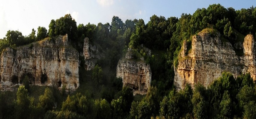 Rezervația naturală Dumbrăveni