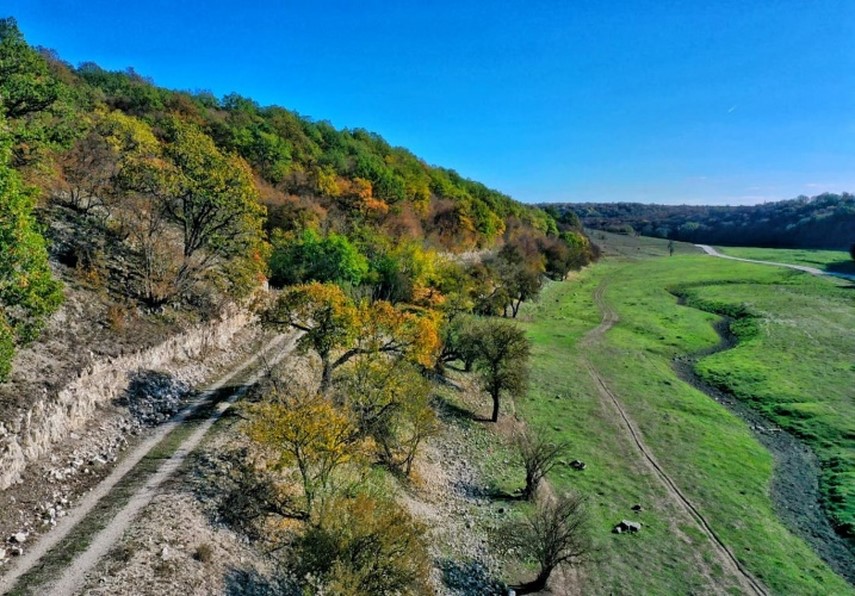 Rezervația naturală Dumbrăveni