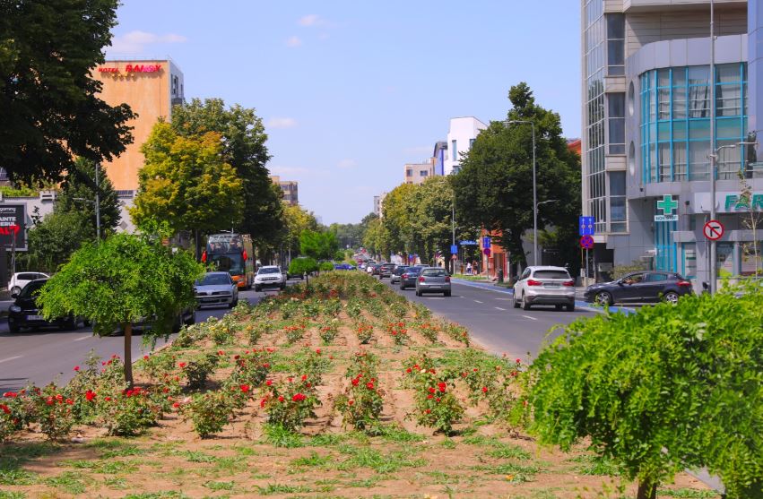 Imagini de pe bulevardul Mamaia, foto: Primăria Constanța 