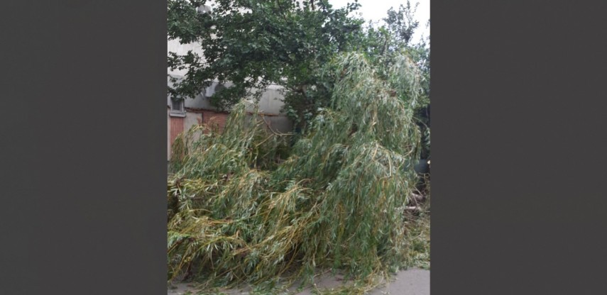 Sursa foto: ISU Constanța