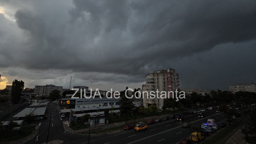 Cod portocaliu Constanța, Sursa foto: ZIUA de Constanța