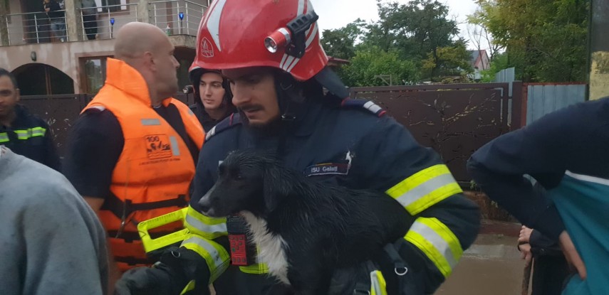 Sursă foto: ISU Galați