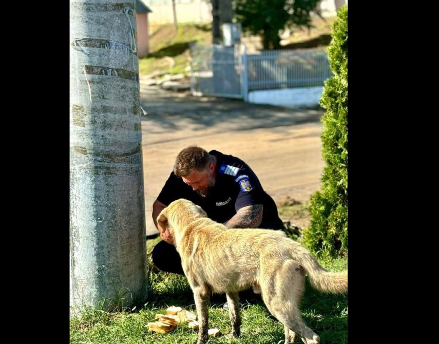 foto: facebook/Jandarmeria Română