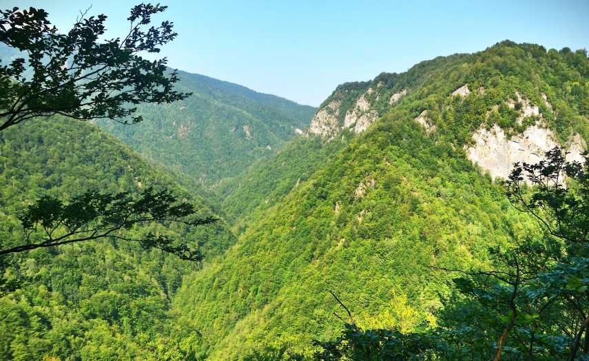 Păduri, Sursa foto: ROMSILVA