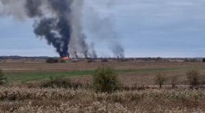 Incendiu în Delta Neajlovului! Pompierii intervin. A fost sesizată Garda de Mediu (FOTO+VIDEO)  