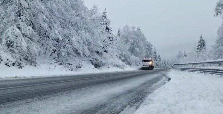 Sursa foto: ISU Suceava