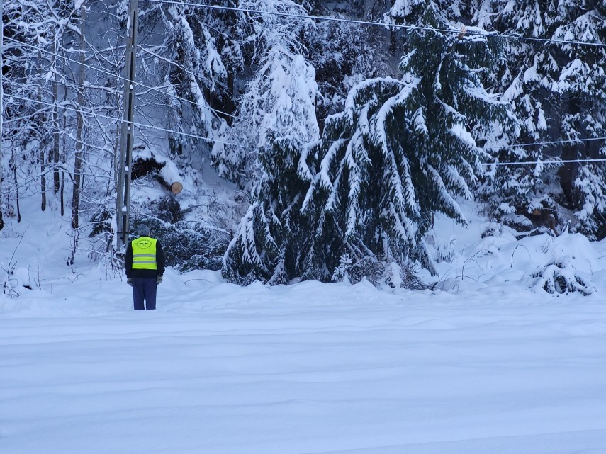 Vatra Dornei. Sursă foto: CFR SA