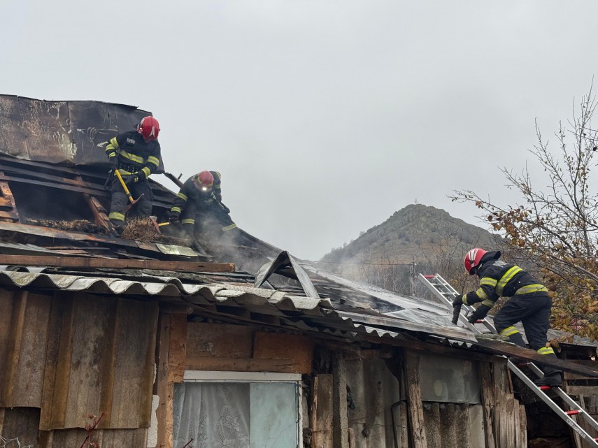 Sursa foto: ISU Delta Tulcea