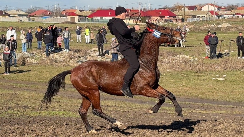 Sorin Pândichi, la cursa de la Botezul Cailor 2025. Sursa foto: Sorin Pândichi