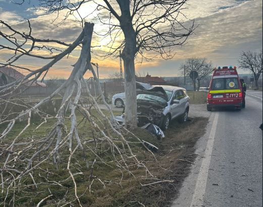 Accident Cataloi, Sursa foto: IPJ Tulcea