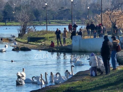 Parcul Tăbăcărie, din Constanța, asediat de plimbăreți în prima zi a anului (Galerie FOTO+VIDEO) 